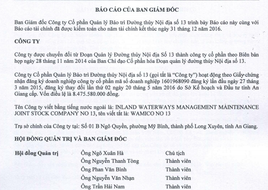 Báo cáo tài chính được kiểm toán năm 2016